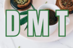 Cannabis infused tea