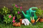 How to Start a Home Garden