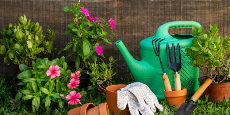 How to Start a Home Garden