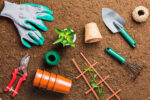 Tools Every Gardener Needs